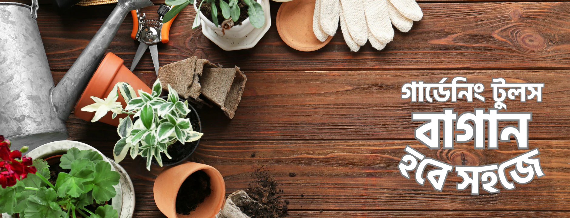 Nurture Your Urban Green Oasis